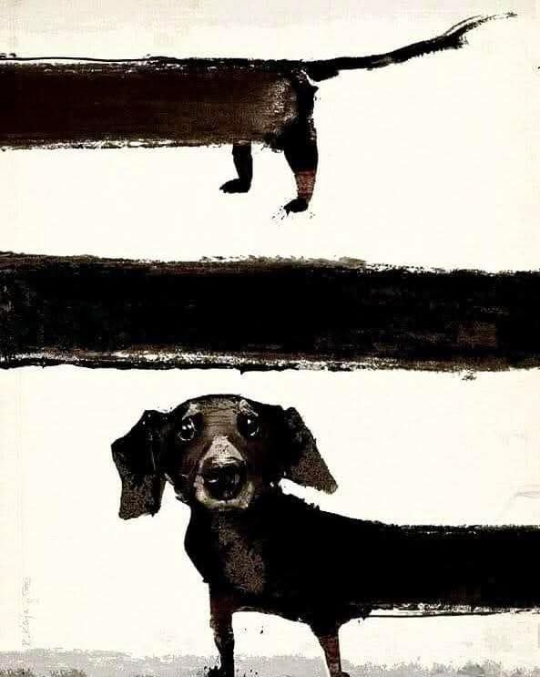 Ramin Nasibov tweet media