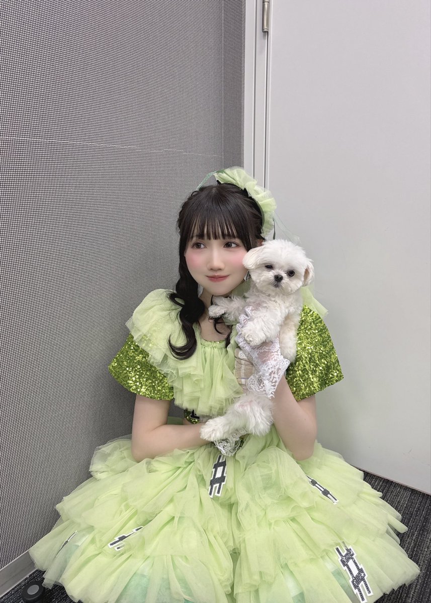 青葉ひなり👶🏼(FES☆TIVE) tweet media