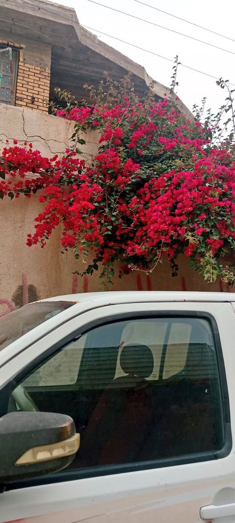 .🇮🇶🫡 tweet media