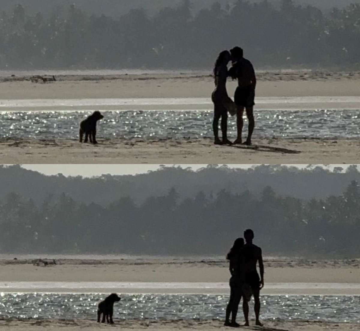 Shawn Mendes hourly tweet media