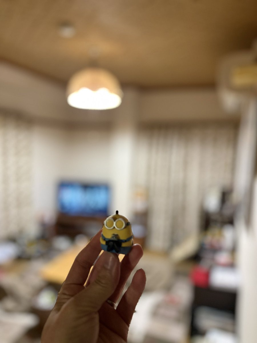 ゴッツ@八重山猫 tweet media