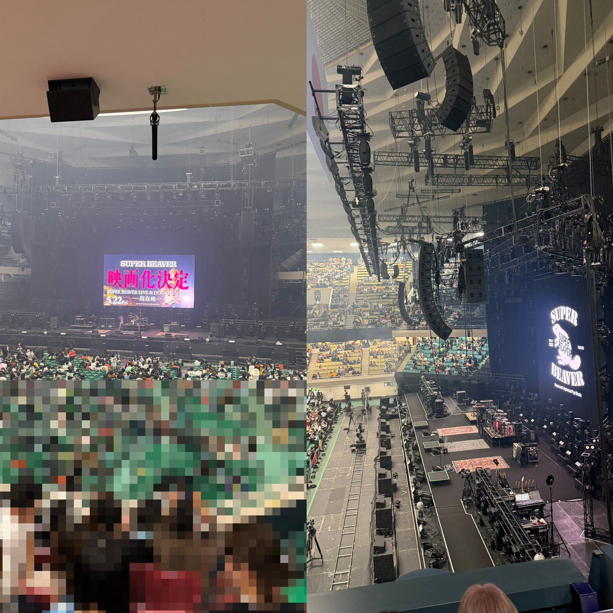 やっさん🦫 tweet media