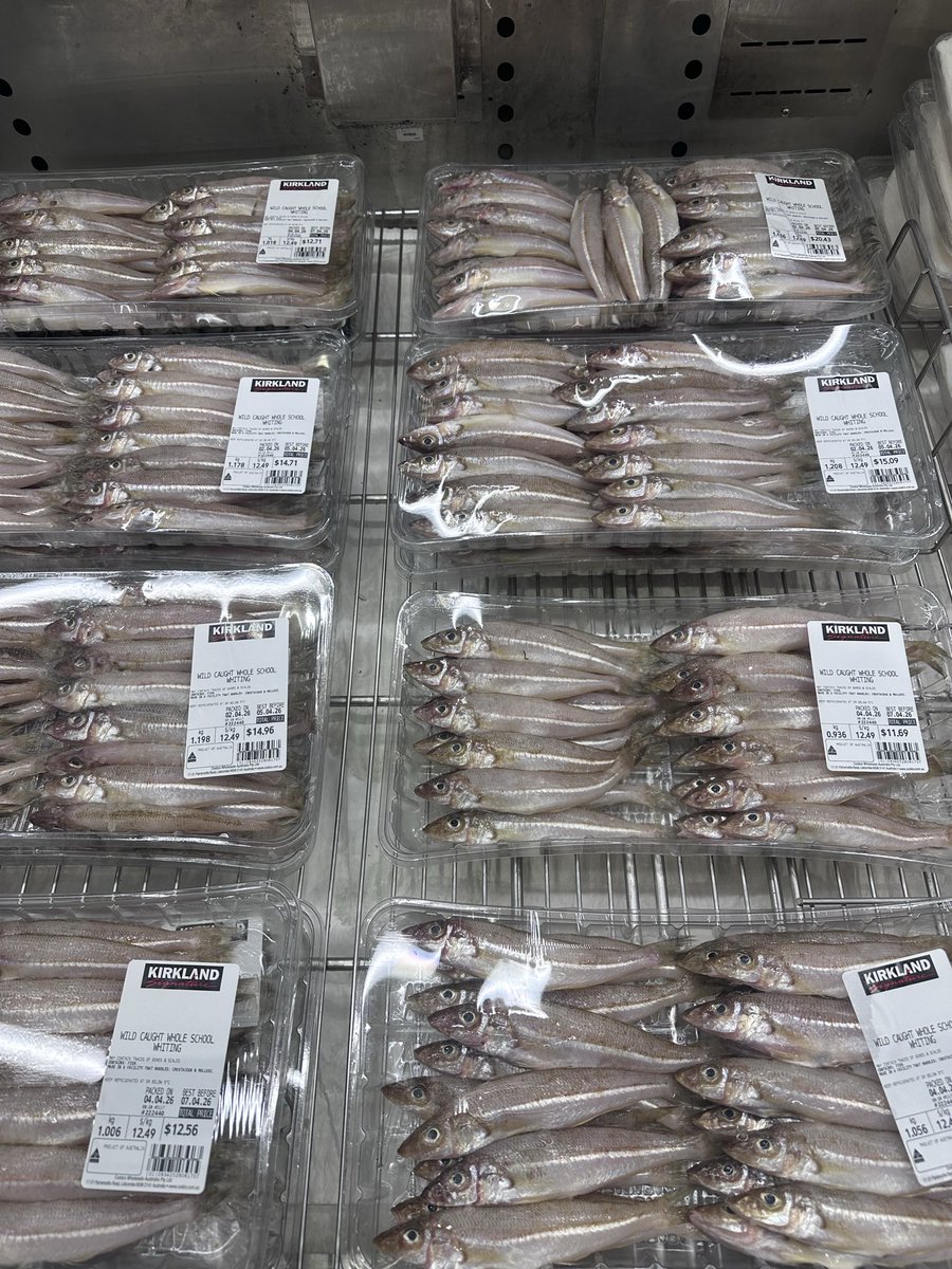 jayzpy's tweet photo. ปลาทราย จาก Costco ราคาไม่แพง เลยเอามาทำปลาทรายทอดขมิ้น #southernthaifood #icookwheniamhungry #Thaifood https://t.co/w0KE44DDLh