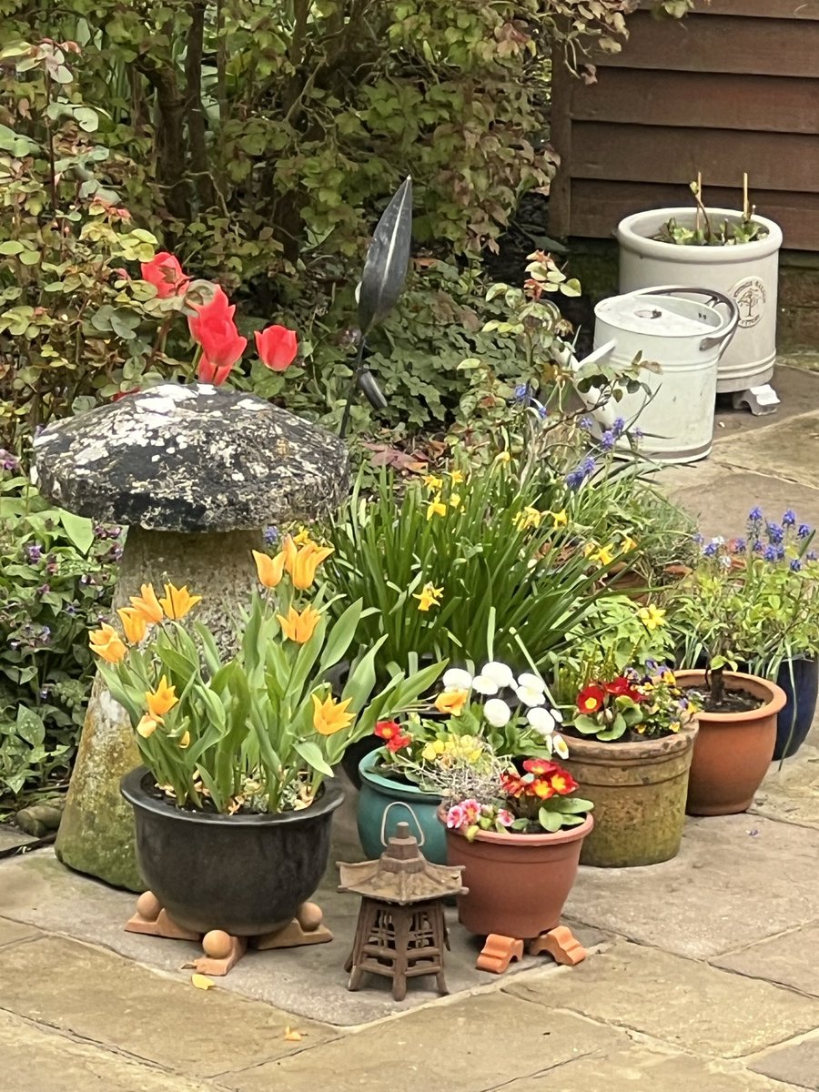 Jean Haines SWA tweet media