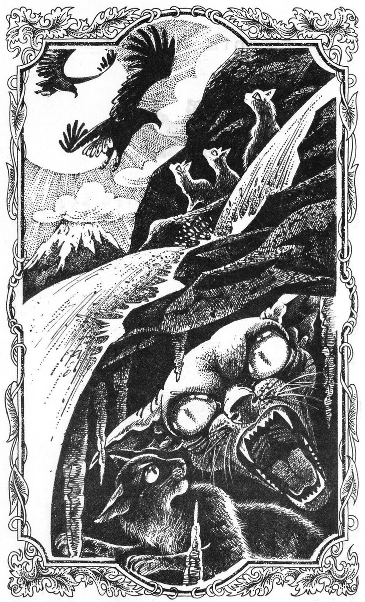 Furreyra tweet media