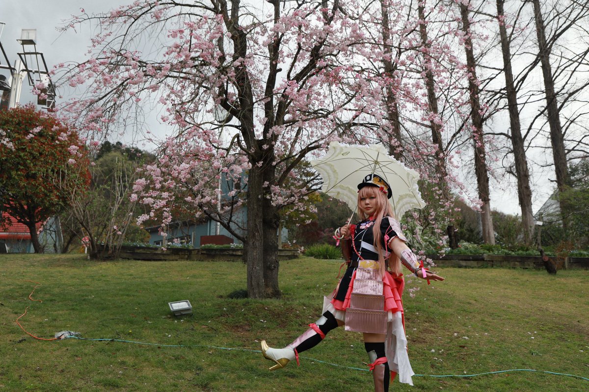 吾輩🌸わがはい tweet media