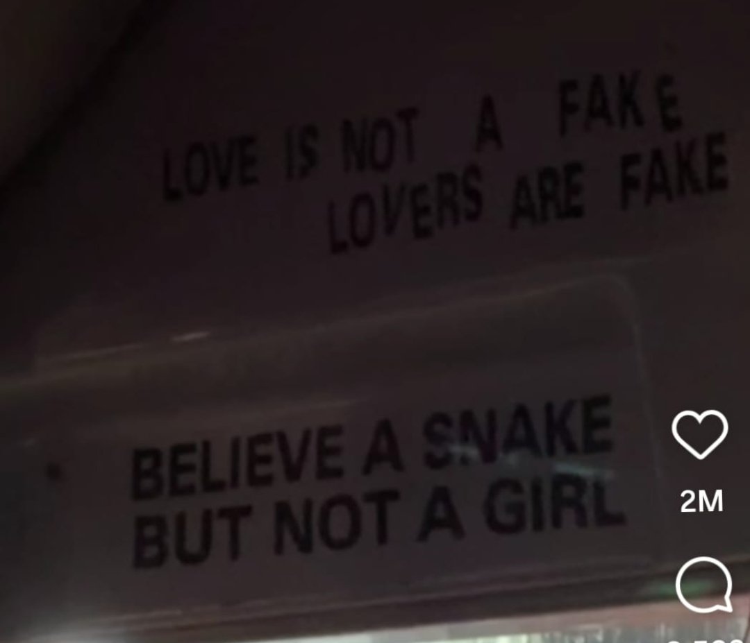 Kish SIFF tweet media