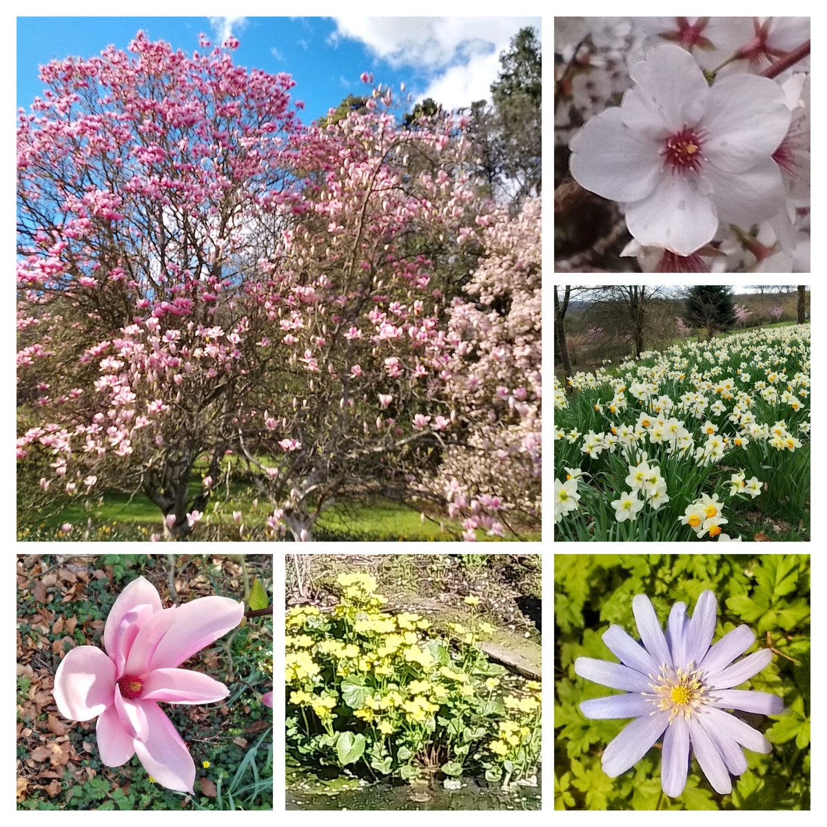 Phil's Plot tweet media