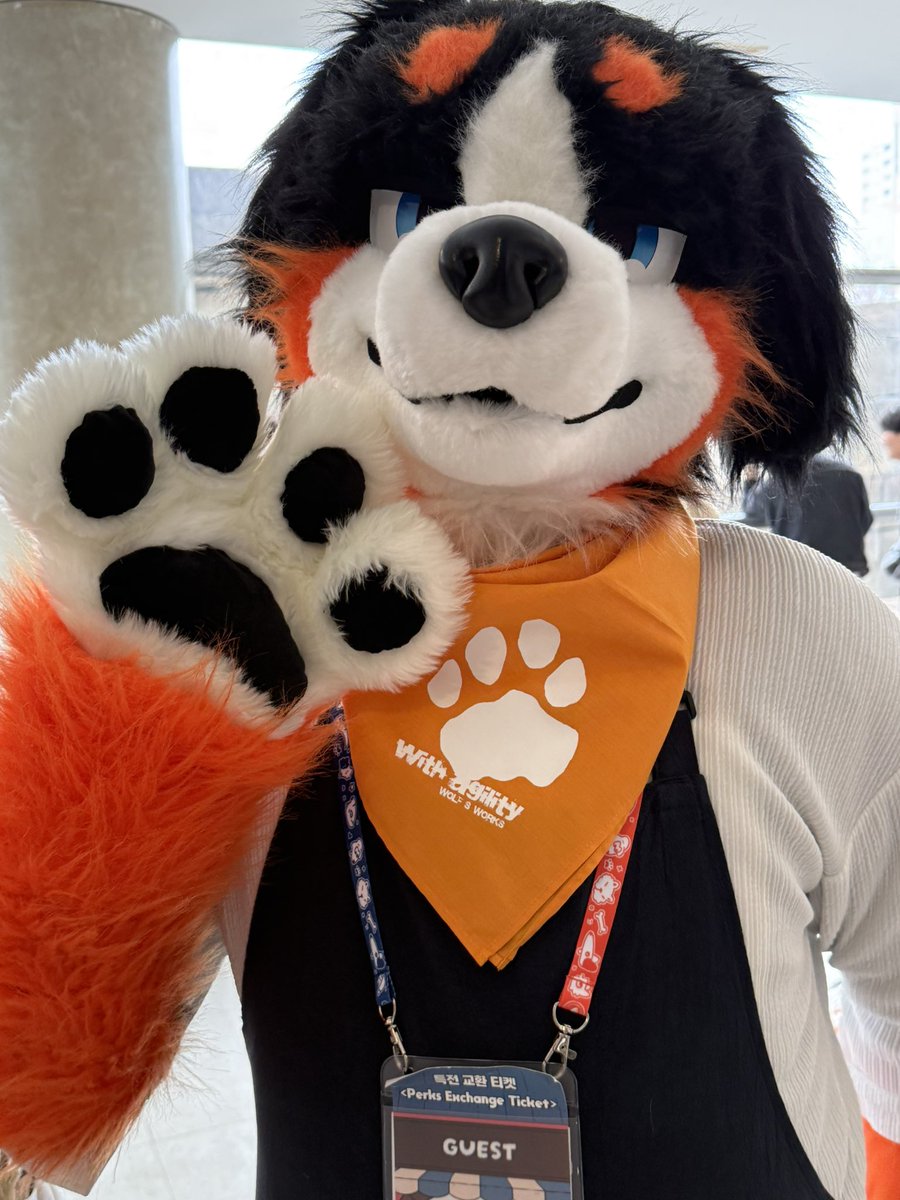 치곰 チゴマ 🐻❄️🍰 🔜 FURST CLASS tweet media