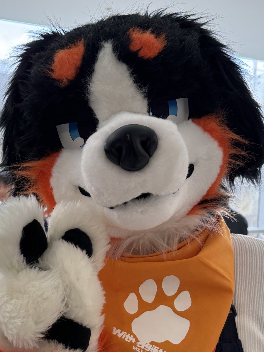 치곰 チゴマ 🐻❄️🍰 🔜 FURST CLASS tweet media