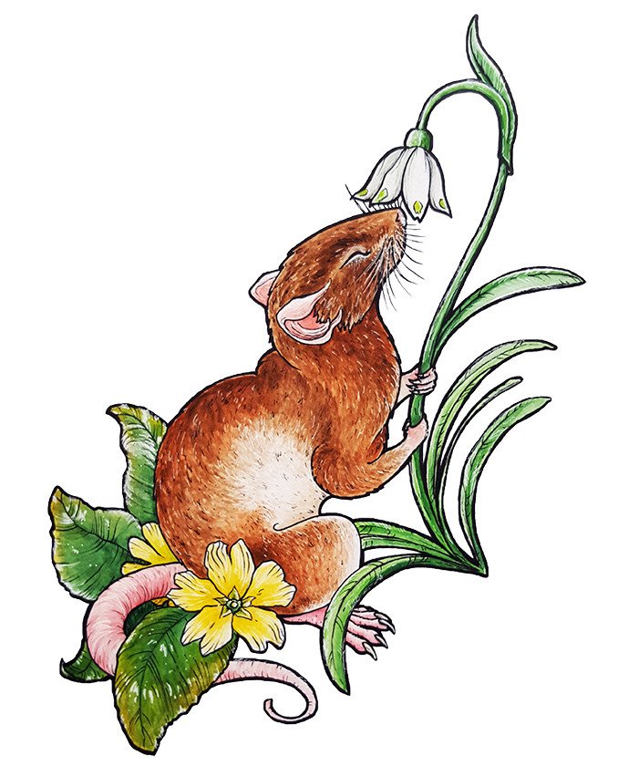 GrrreenRat tweet media