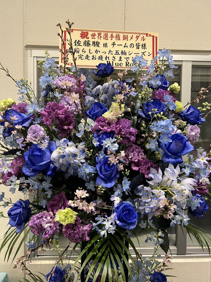 アニャンダ(アマンダ)お嬢様と呼ばれて2023✨✨🐈⛸🎹✨✨ tweet media