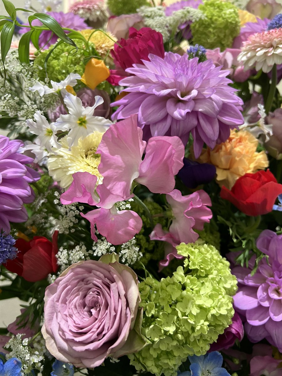 アニャンダ(アマンダ)お嬢様と呼ばれて2023✨✨🐈⛸🎹✨✨ tweet media