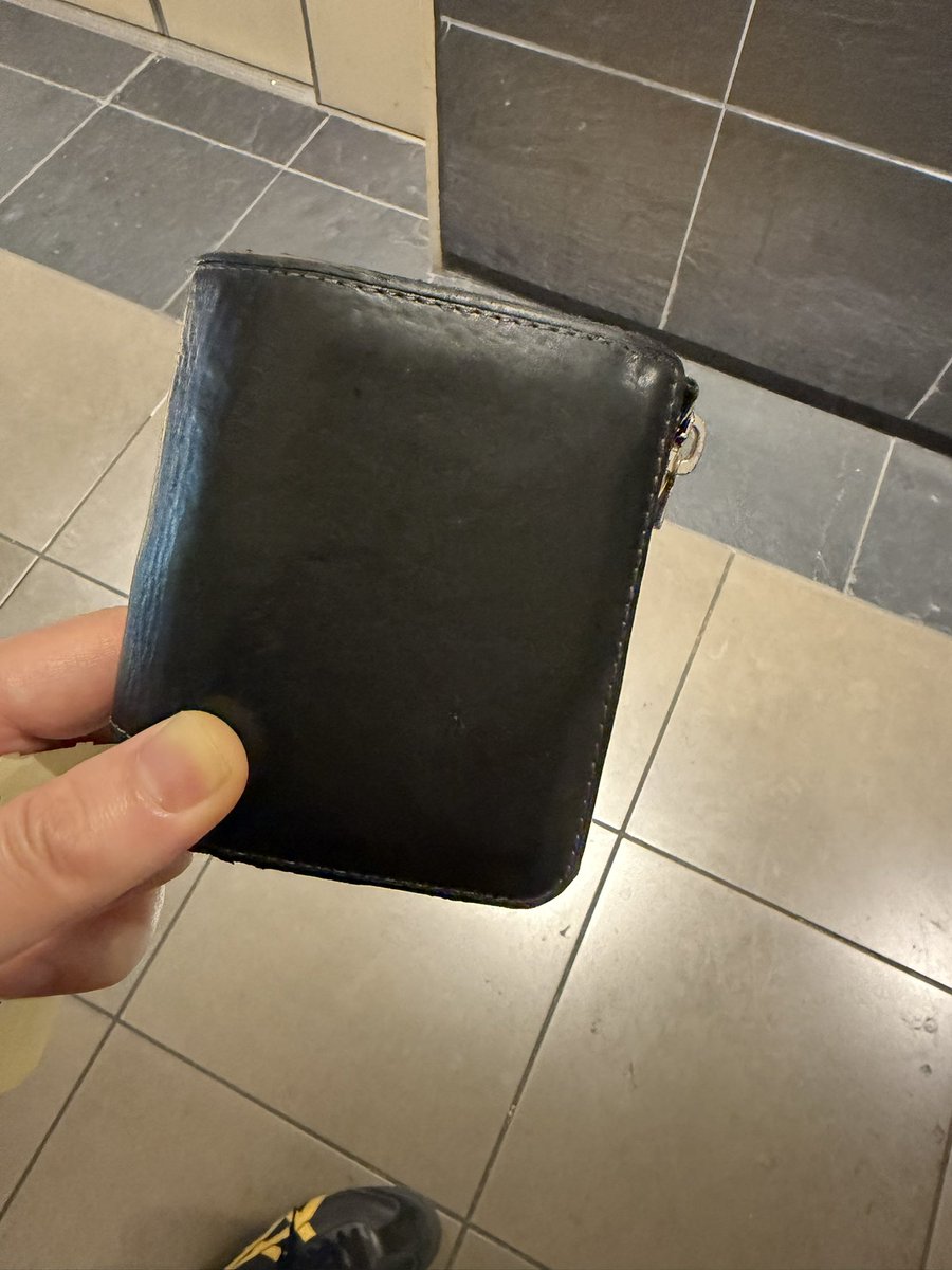 Shoji Kaoru ☘️大阪の政治を取り戻そう☘️ tweet media