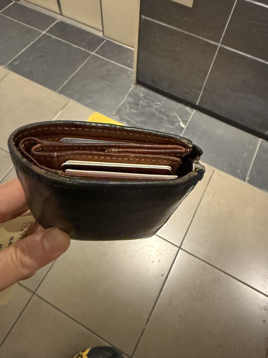 Shoji Kaoru ☘️大阪の政治を取り戻そう☘️ tweet media