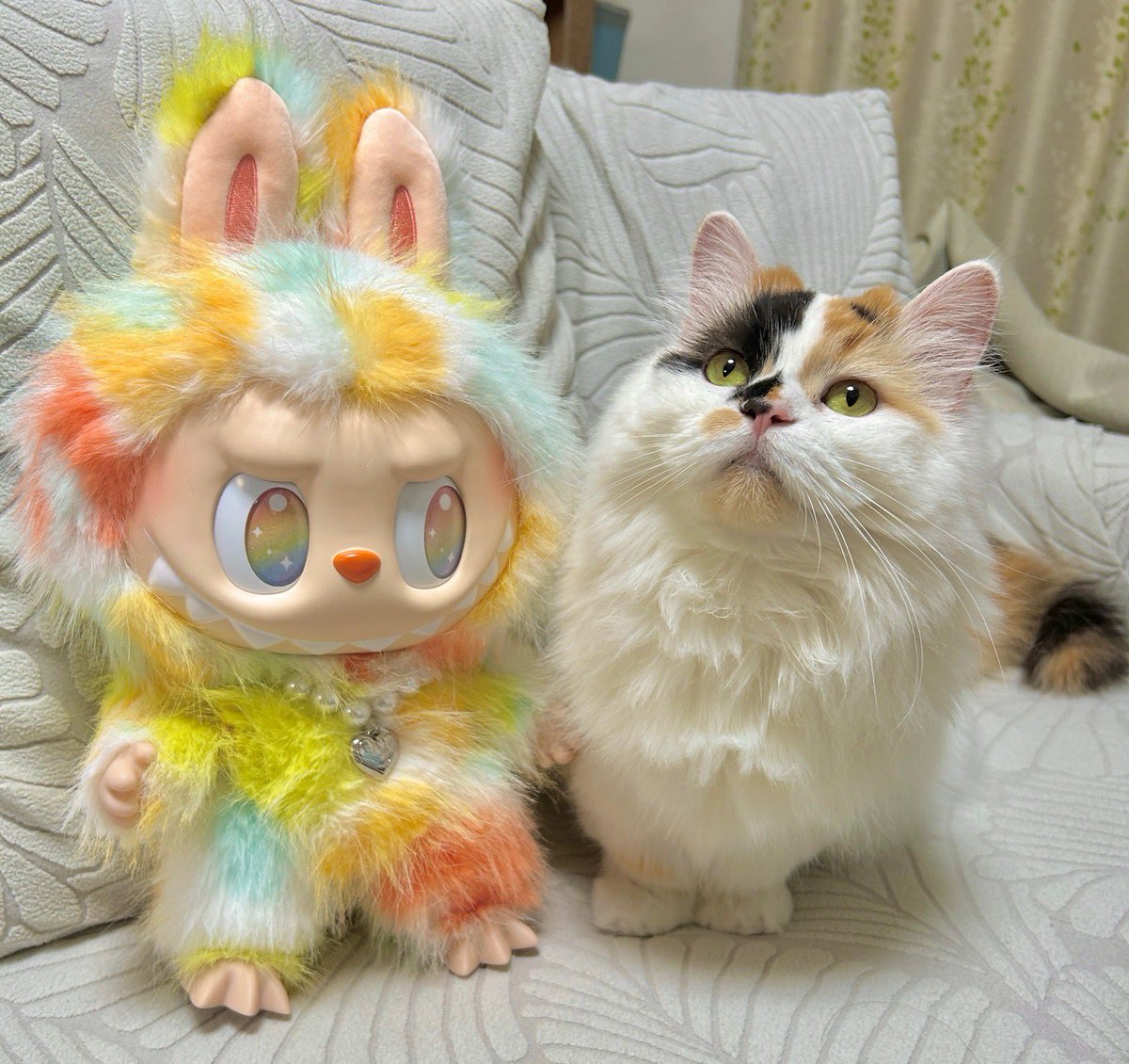 himechan_munch's tweet photo. あたらしいともだちといっしょ
i made a new friend https://t.co/86eYL9pL3K