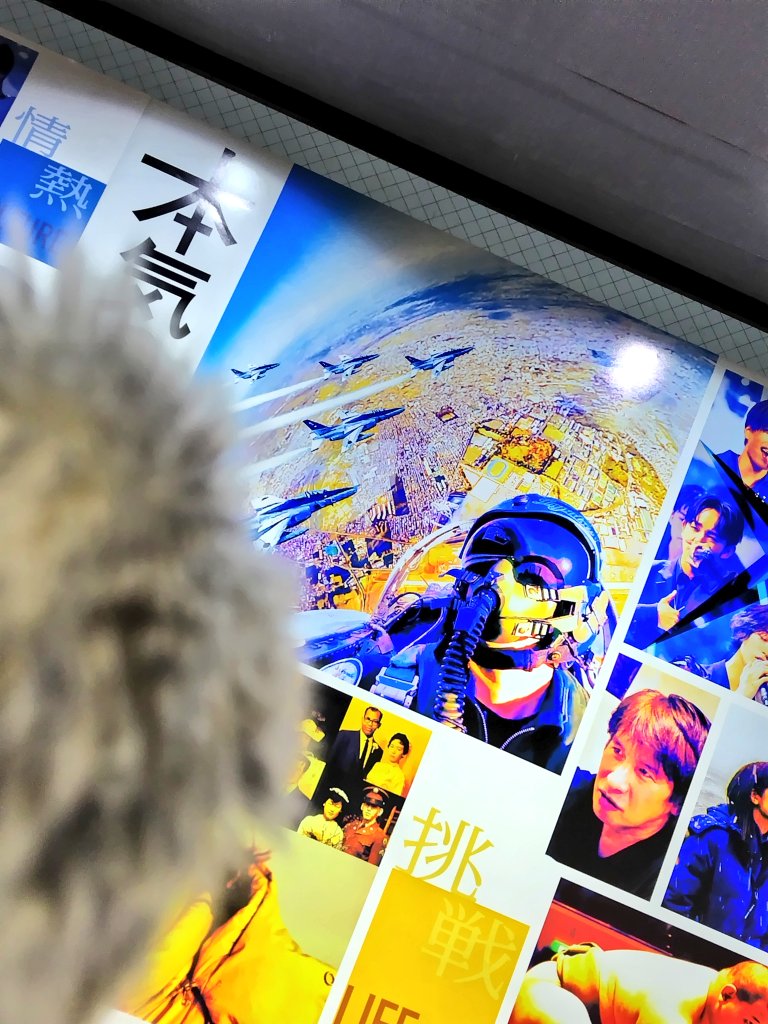 ユキ𓃠 tweet media