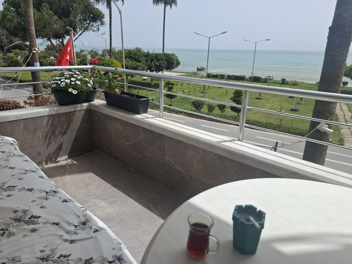 Melón Şapka... tweet media