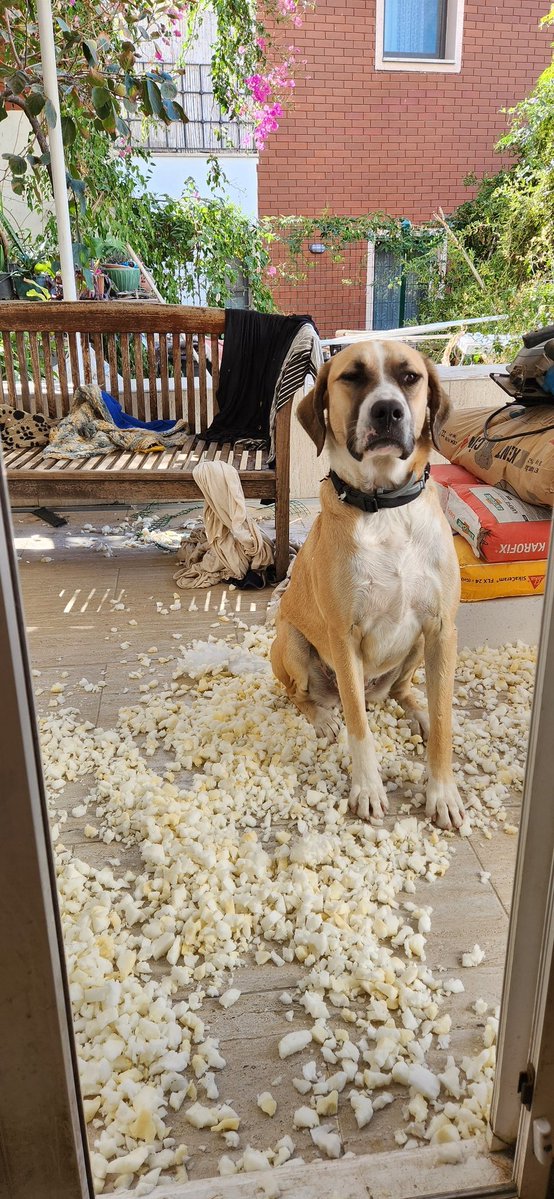 Buket Topakoğlu Erkan tweet media