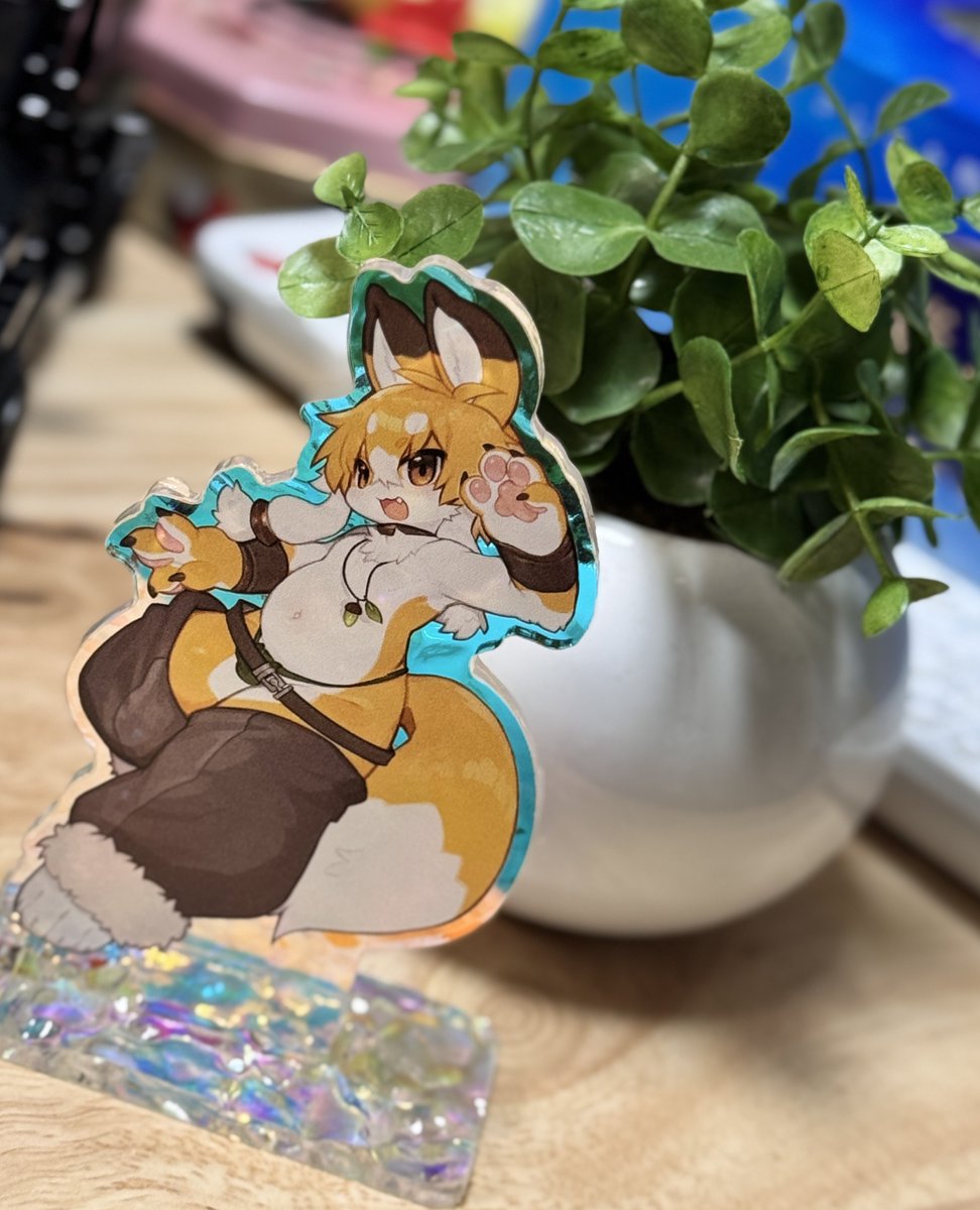 もふあき tweet media