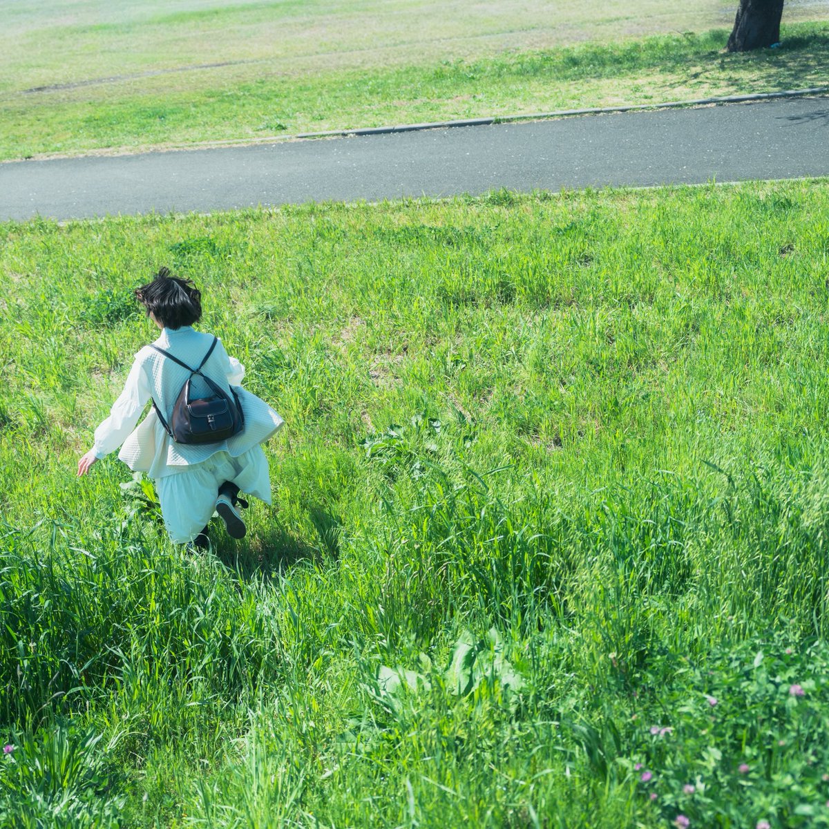 杉本健太/写真家 tweet media