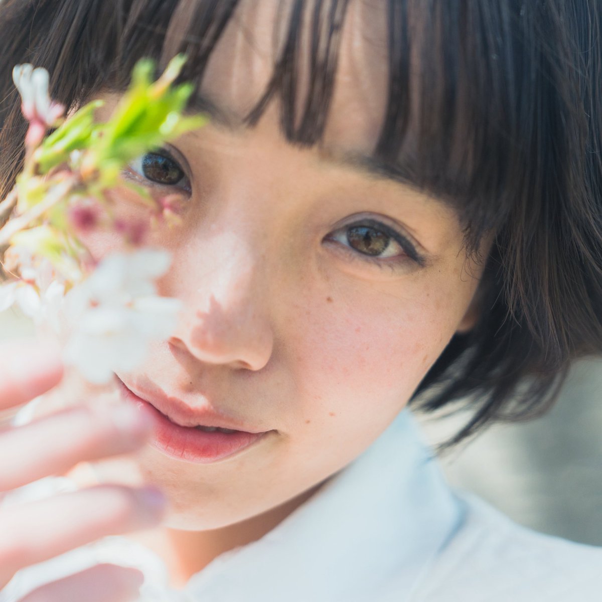 杉本健太/写真家 tweet media