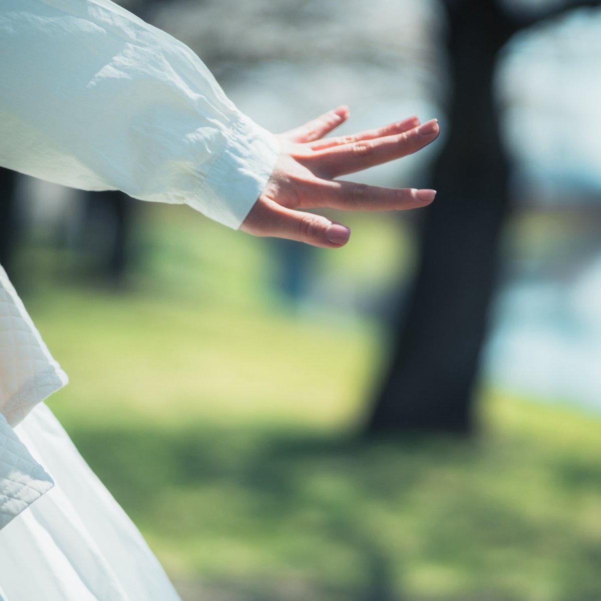 杉本健太/写真家 tweet media