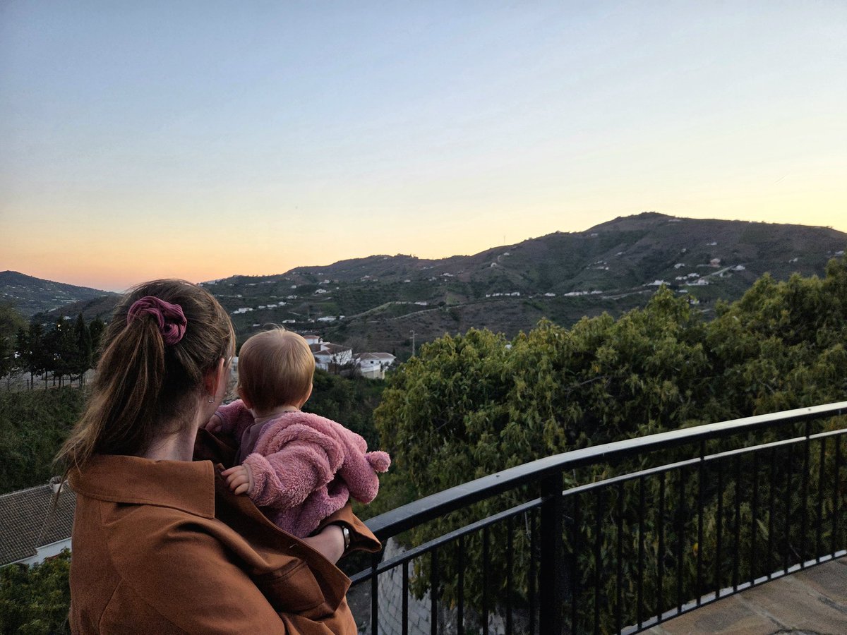 Trader Palms 🌴 tweet media