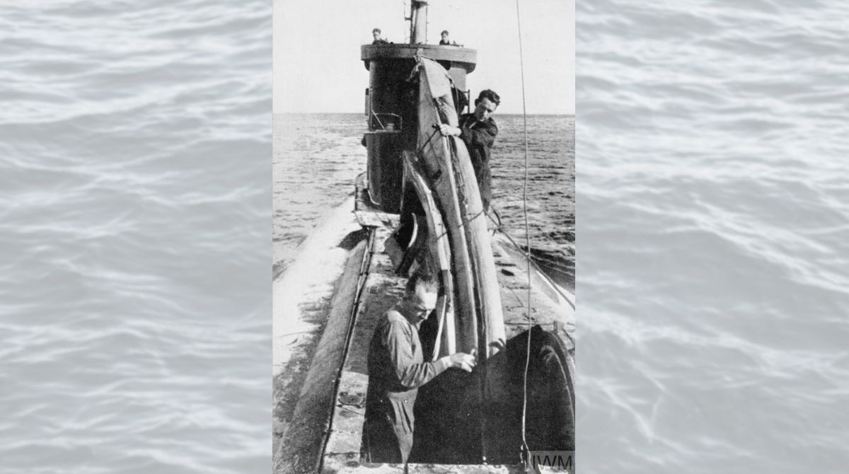 COPP Survey tweet media