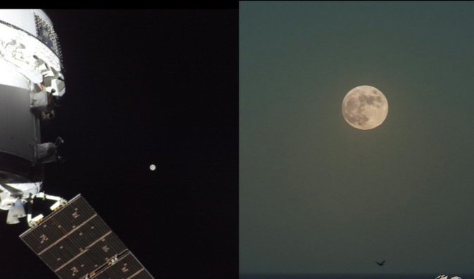 Général Kurtz 🐸🇳🇵 tweet media