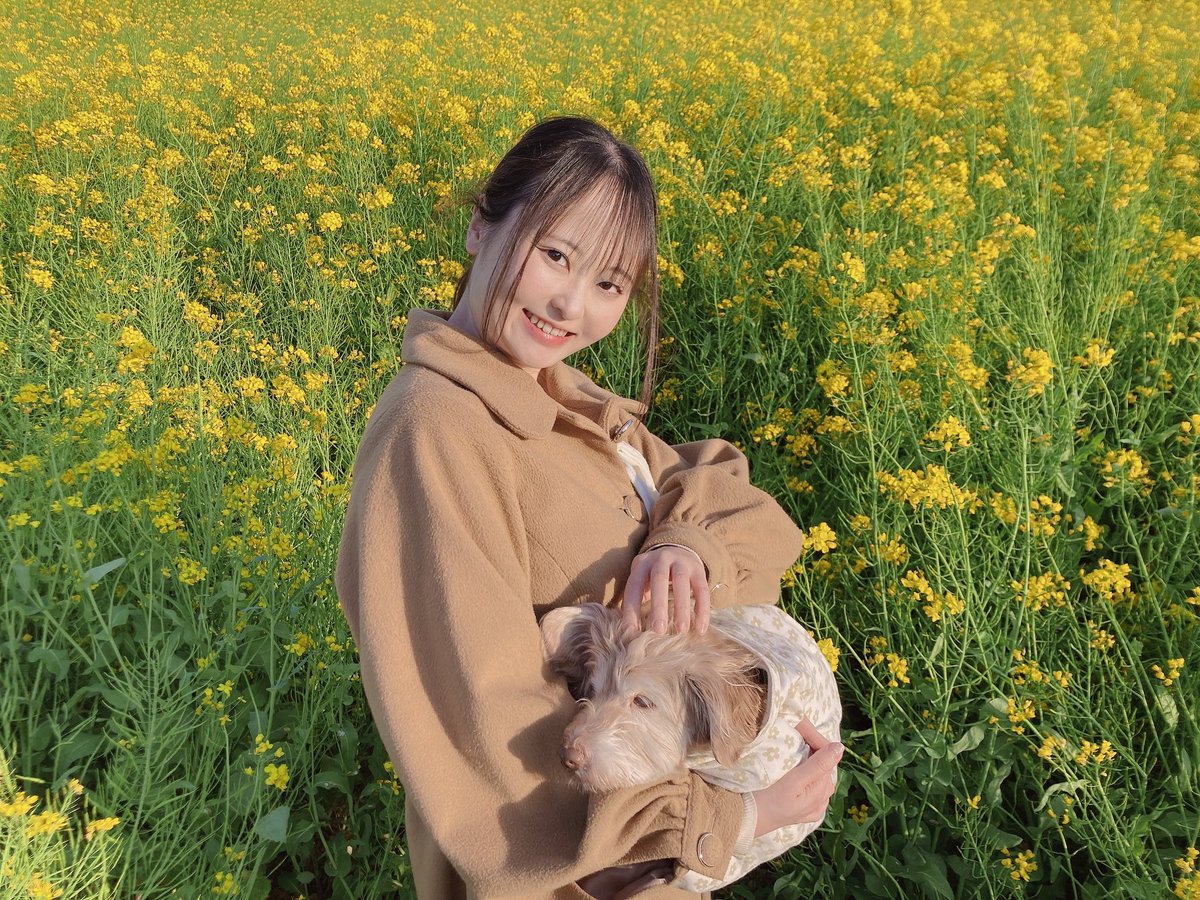 ましろ🐾やえ(茉白八重) tweet media