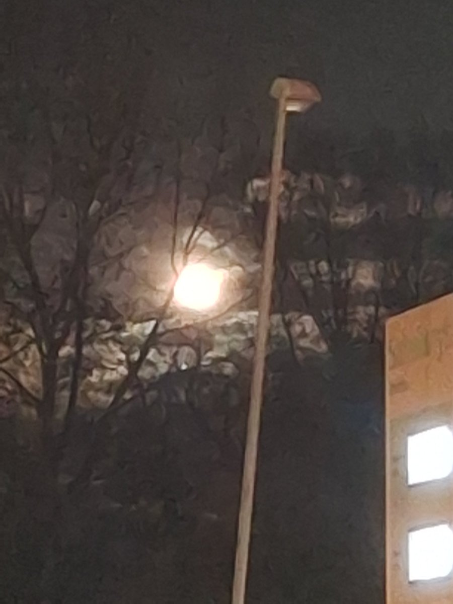 🐦‍🔥 Tracey 🐦‍🔥 tweet media