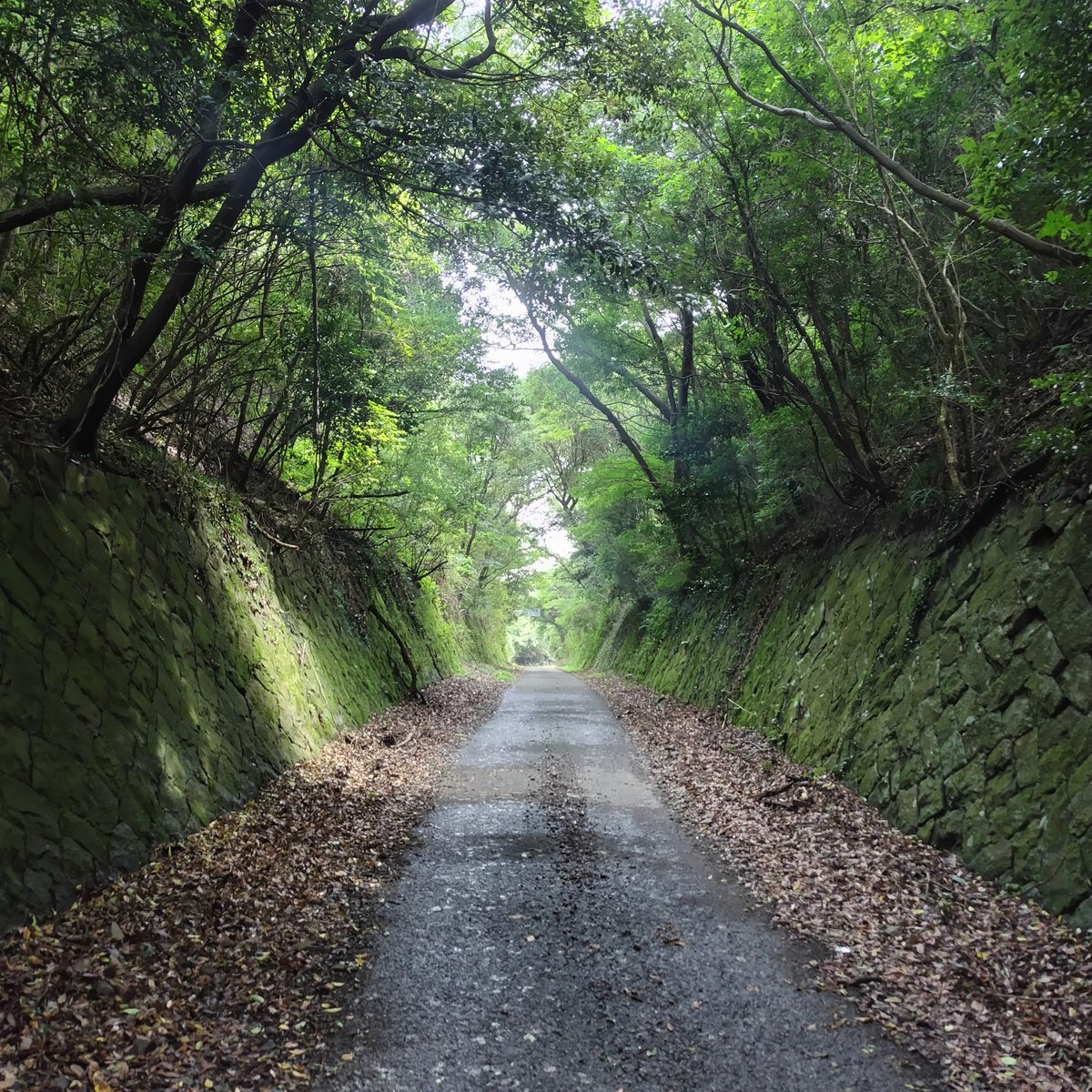 あーさん tweet media