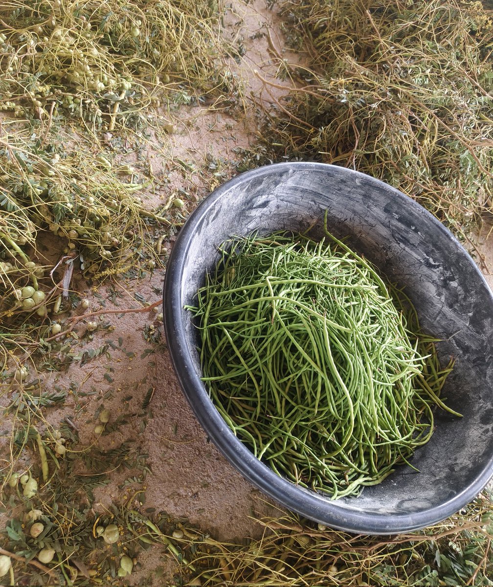 Mukesh मारवाड़ी  tweet media