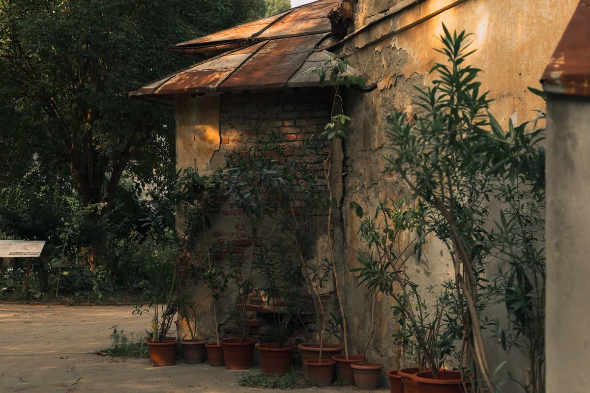 Mariam • tweet media