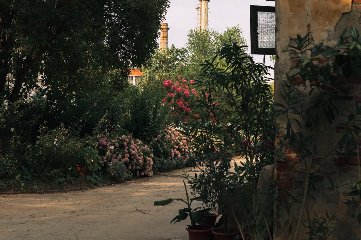 Mariam • tweet media