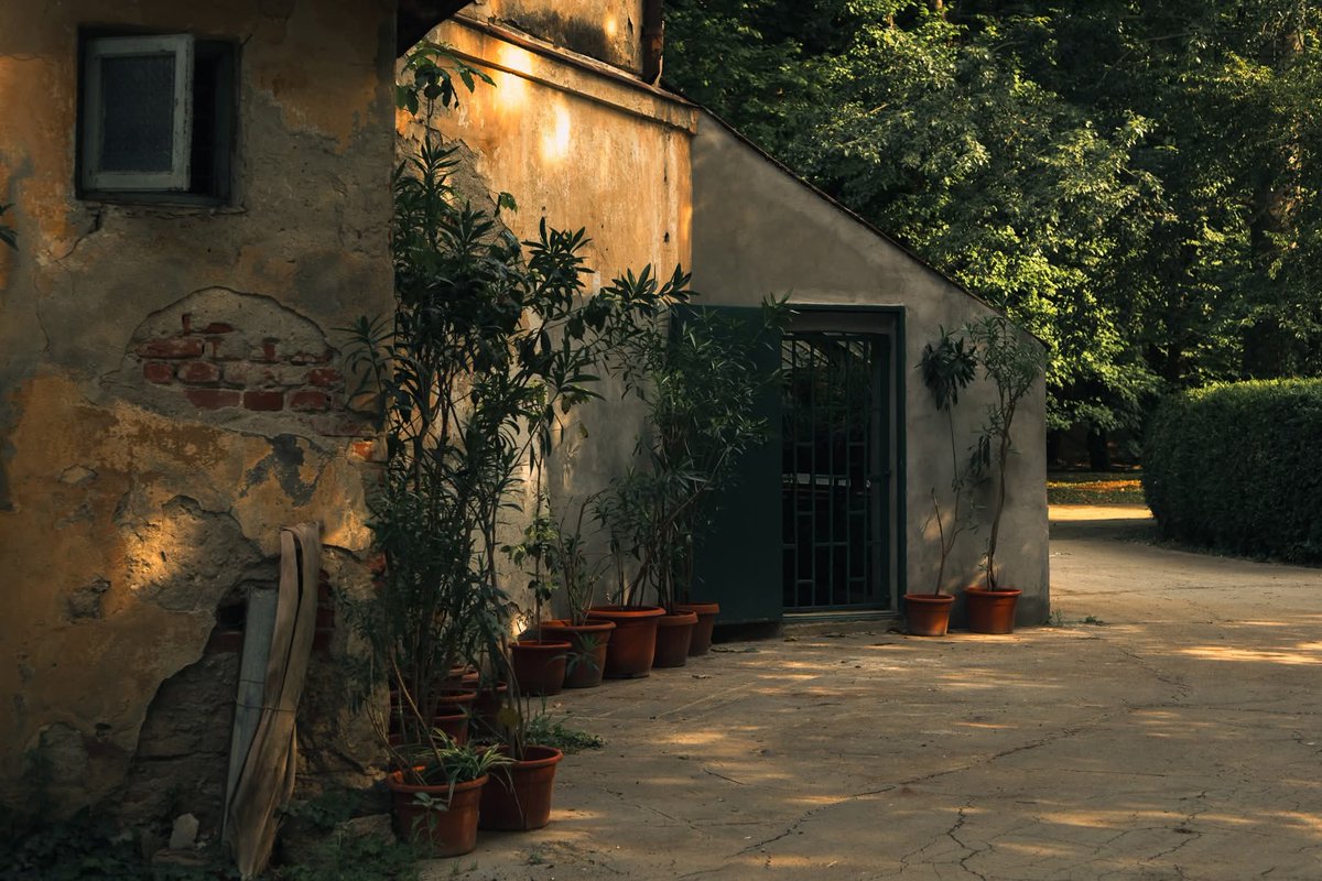 Mariam • tweet media