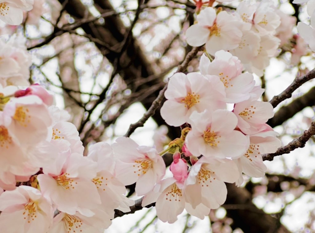 ちゃんみ☁️ tweet media