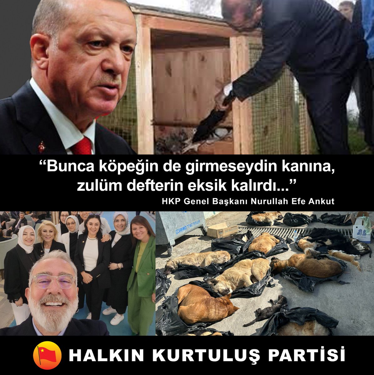 4 Nisan Dünya Sokak Hayvanları Günü!

Türkiye açısından; “4 Nisan Sokak Hayvanlarını AKP İktidarının Meclisinden Çıkan Kanlı Katliam Yasası Sonuçlarından Koruma Günü” diyebiliriz!

Tüm dünyada 2000’li yılların başından bu yana, Hayvanseverlerin sokakta yaşayan patili canlarımızın