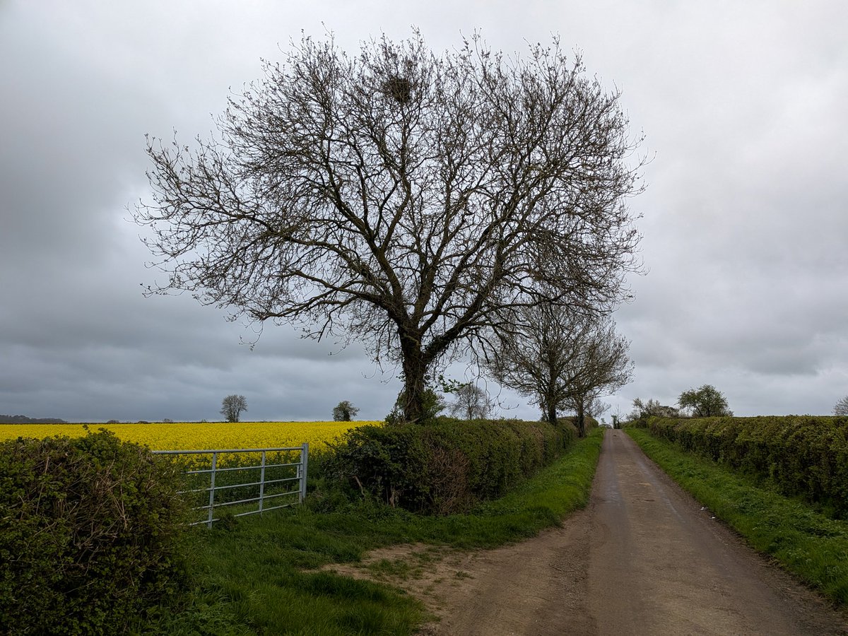 glynn_adams's tweet image. Cloudy &amp;amp; breezy with a bit of light rain at times &amp;amp; the odd glimmer of sunshine here in #somerset ,current temp 12c .