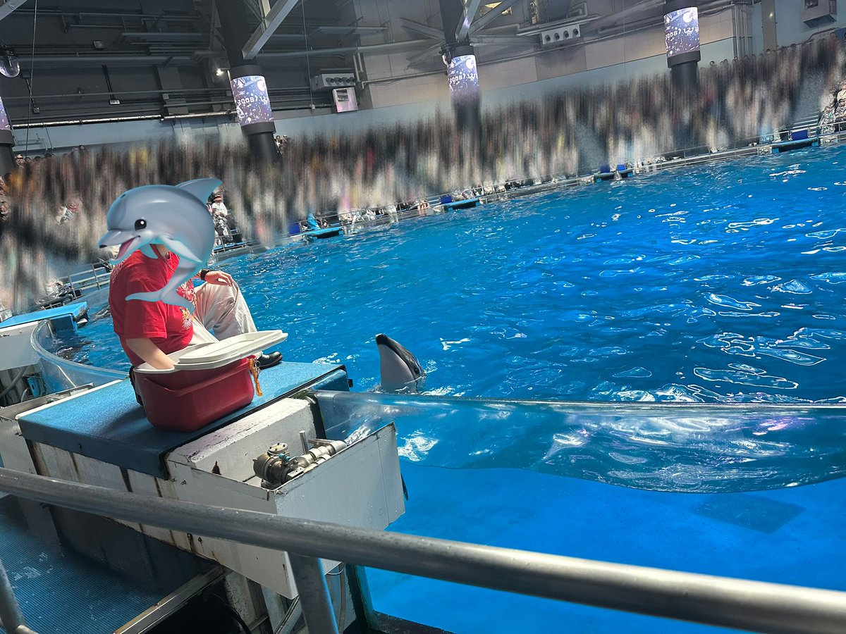 あむ🐤🌻 tweet media