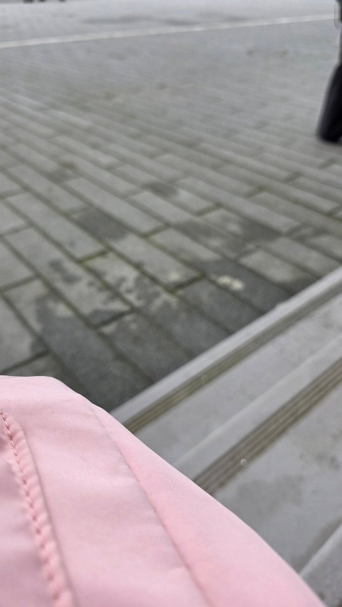 Pauline 🩷🩵 tweet media