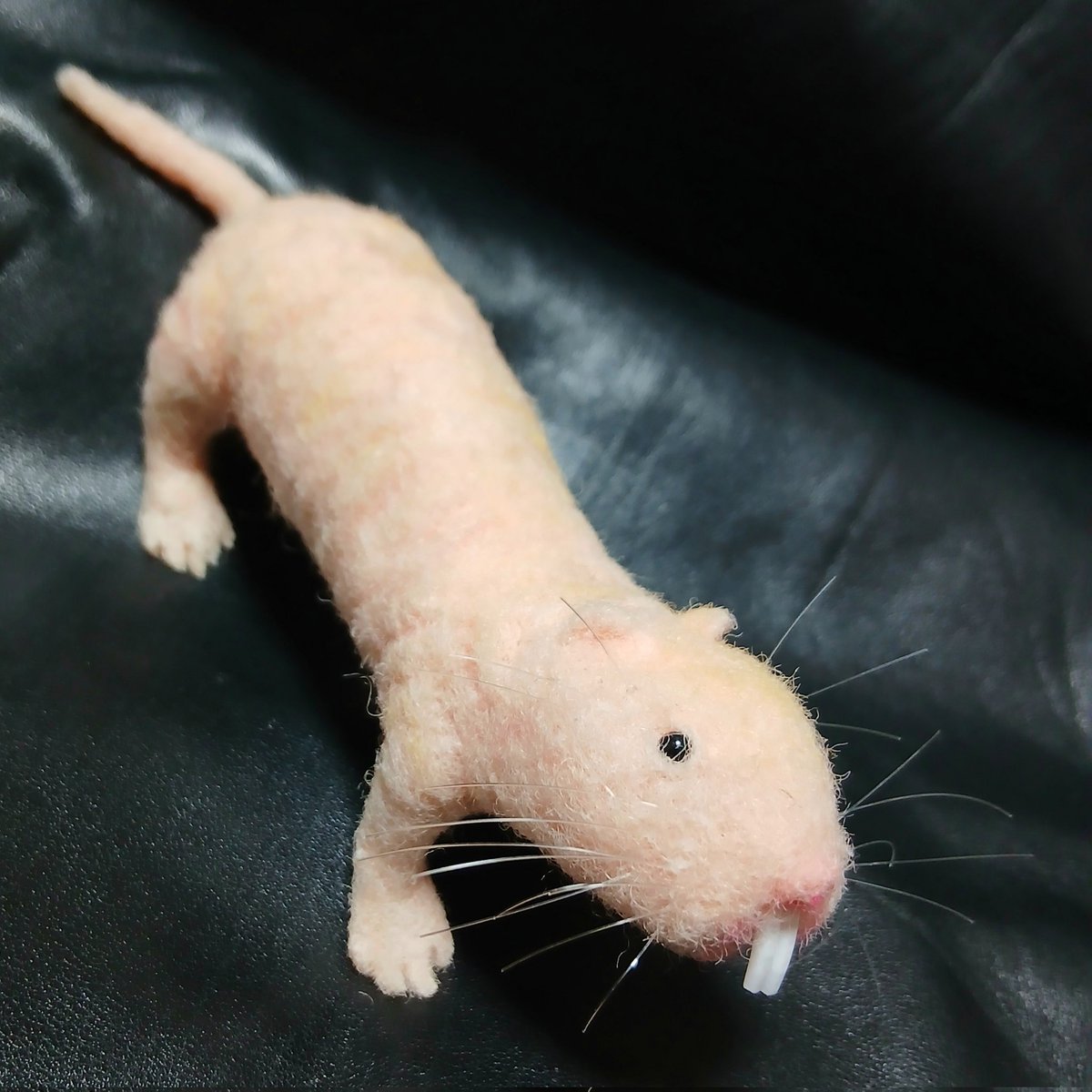 kamuymodels's tweet photo. ハリネズミ2体目です。
ちょっと伸び顔パターン。
ヒゲはカールを付けてます。

#ハダカデバネズミ 
#カムイモデルズ https://t.co/28ZD5Ypg8p