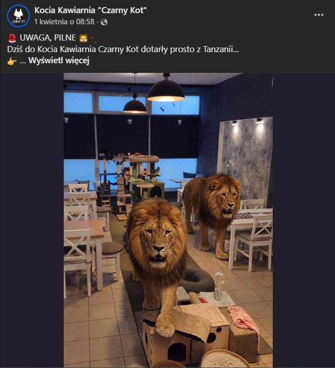 anima vilis tweet media