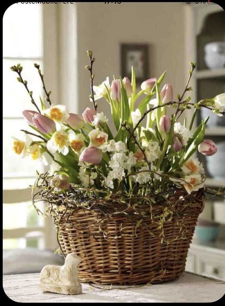 lagestroemia tweet media