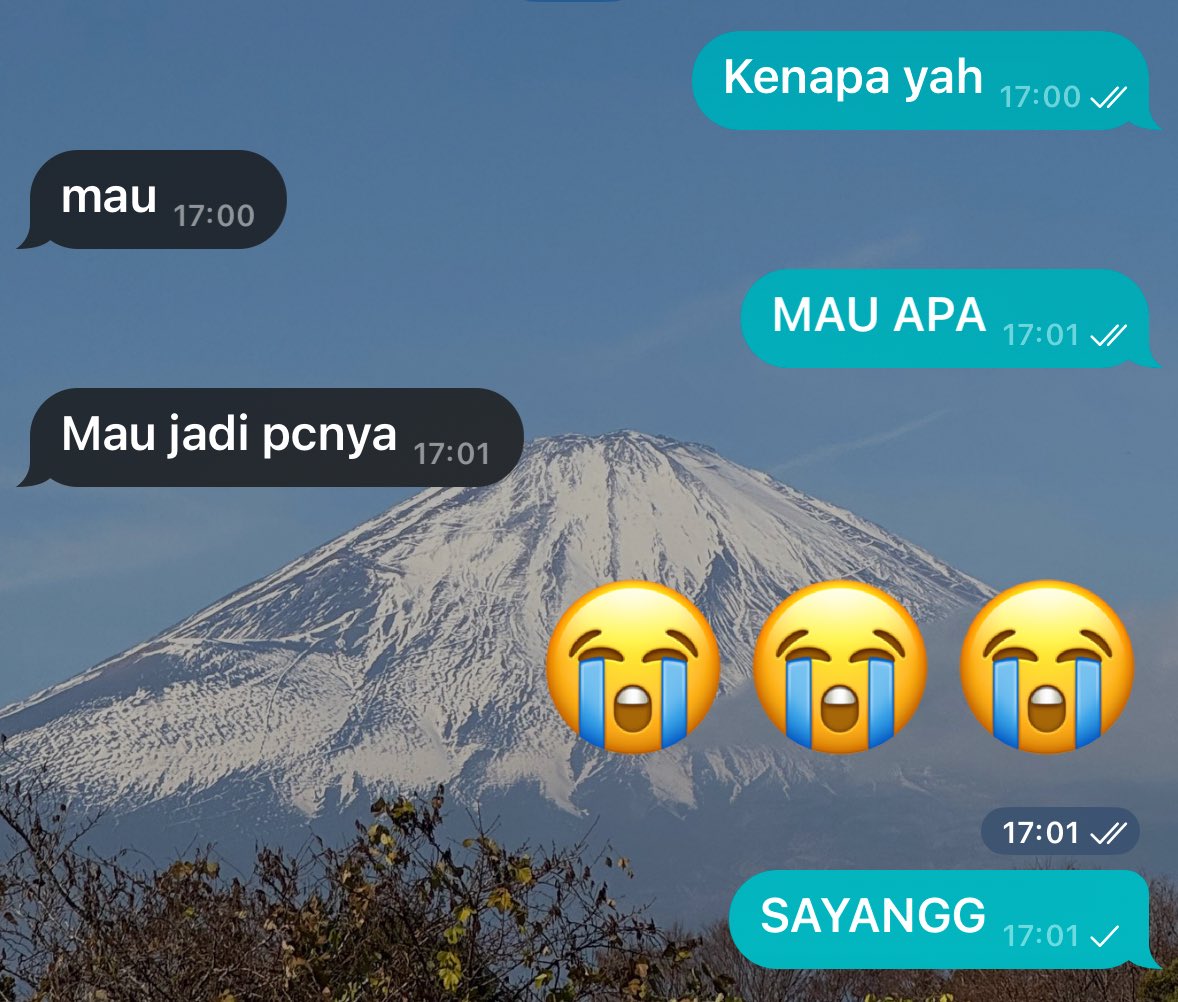 ˙ǝıɹoſ tweet media