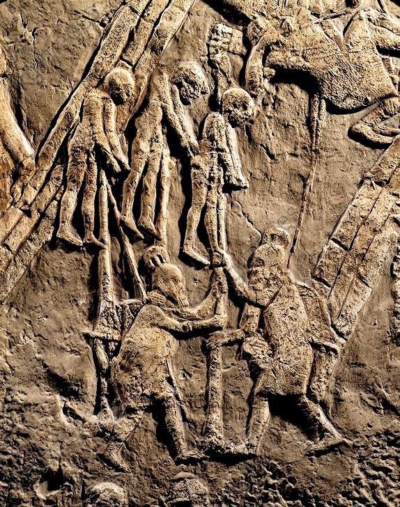 Doochebag tweet media