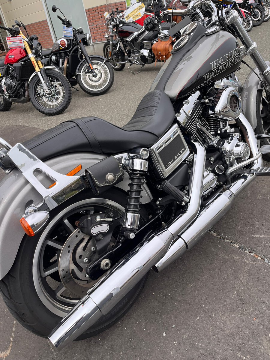 カマダサイクルex の ハルカ tweet media