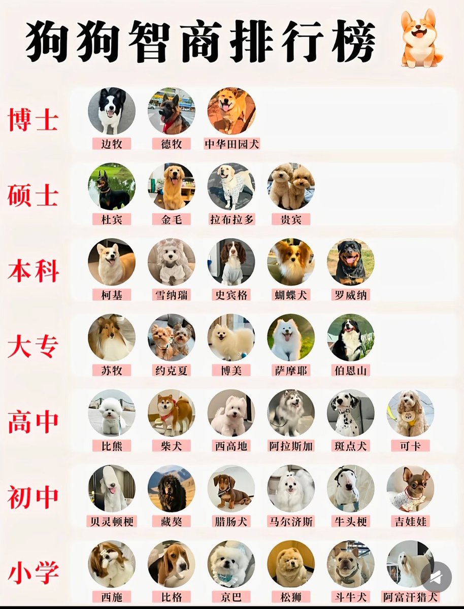 山谷剛史　アジア中国ITライター＆異国飯 tweet media