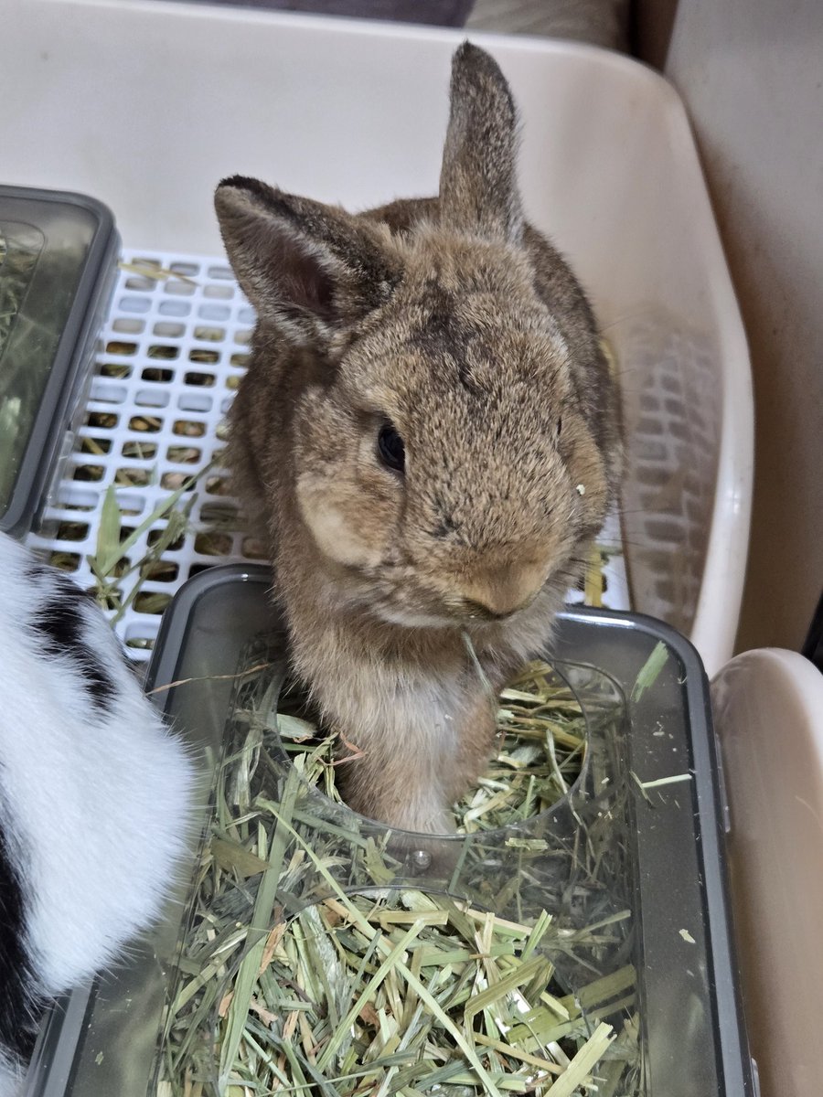 나의 툭툭이🐢 tweet media